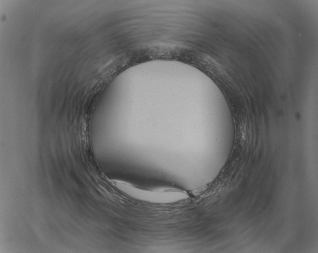 X0000061120964200512161435