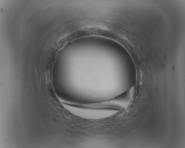 X0000061120965200512161435