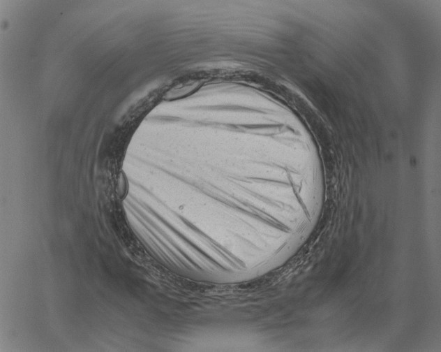 X0000061120967200512161435