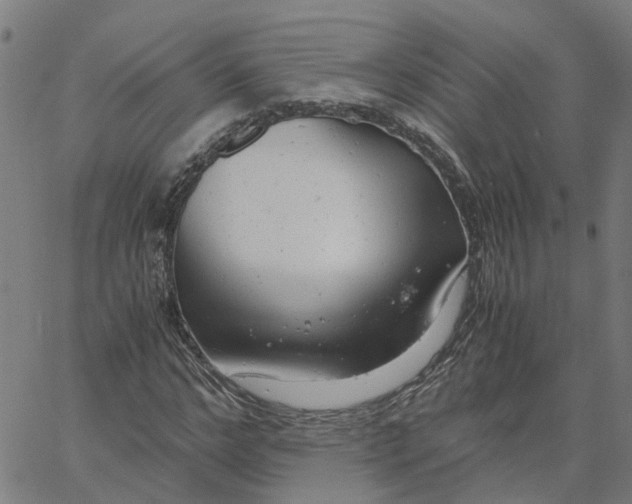 X0000061120968200512161435