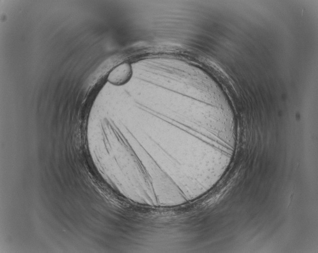 X0000061120978200512161435