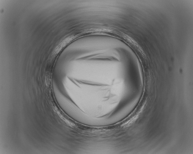X0000061120985200512161435