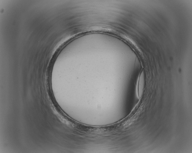 X0000061120991200512161434