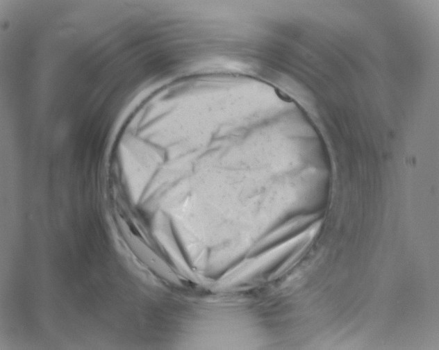 X0000061121008200512161434