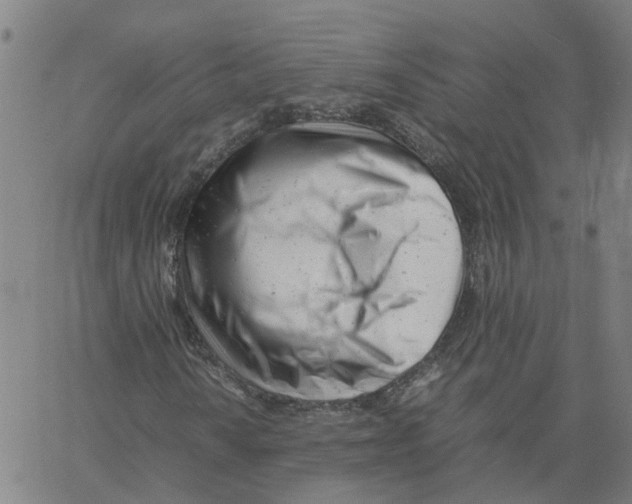 X0000061121010200512161433