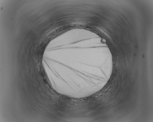 X0000061121015200512161434