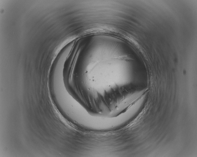 X0000061121034200512161434