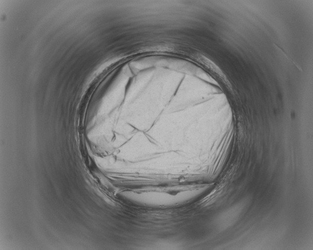 X0000061121035200512161434