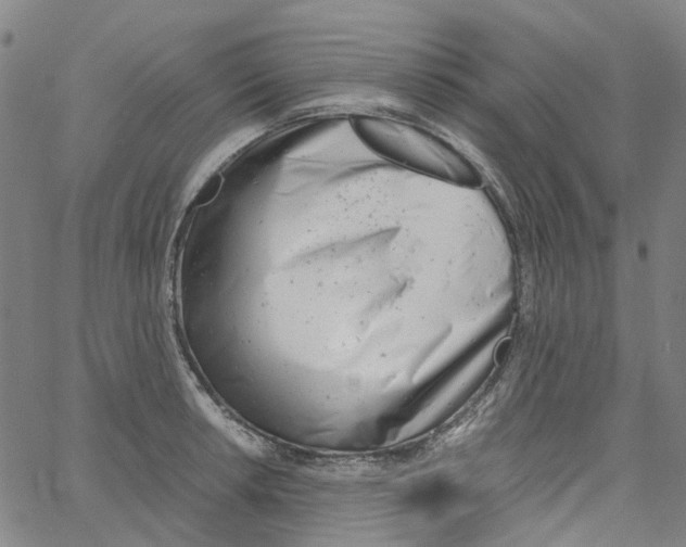 X0000061121042200512161434