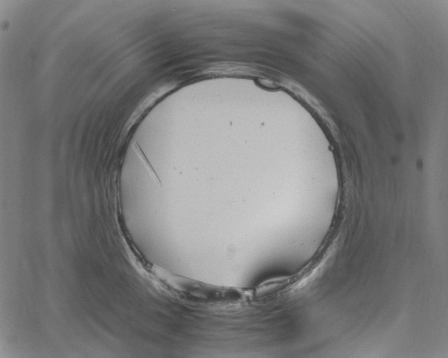 X0000061121049200512161434