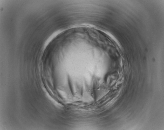 X0000061121054200512161434