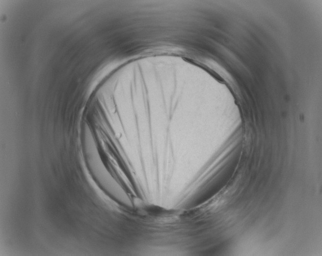X0000061121055200512161434