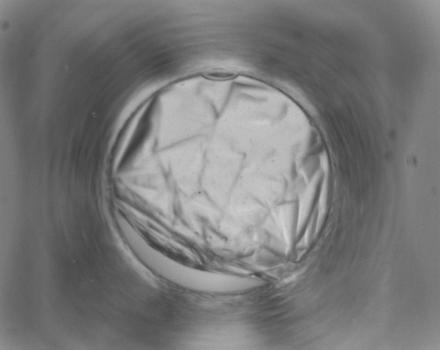 X0000061121056200512161434