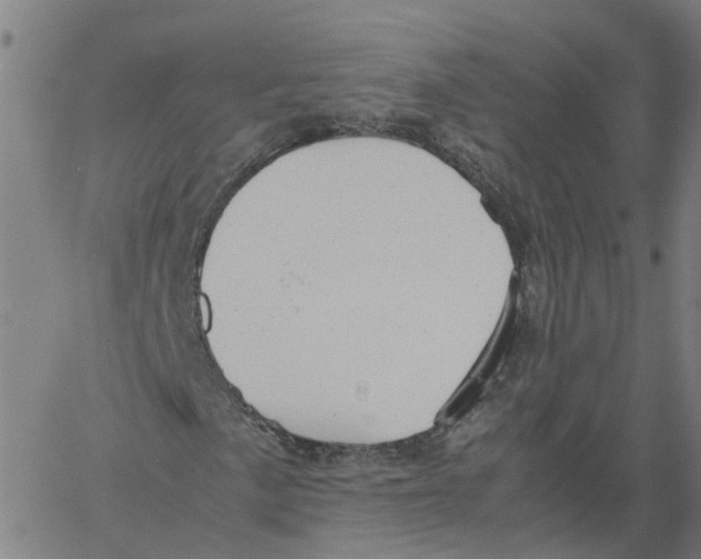 X0000061121057200512161433