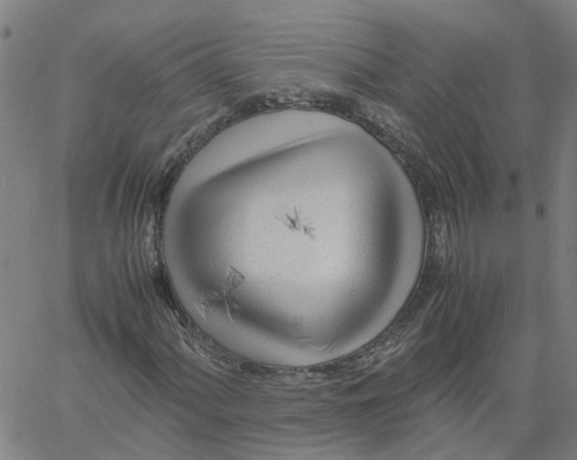 X0000061121060200512161433