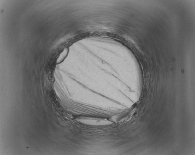 X0000061121063200512161433