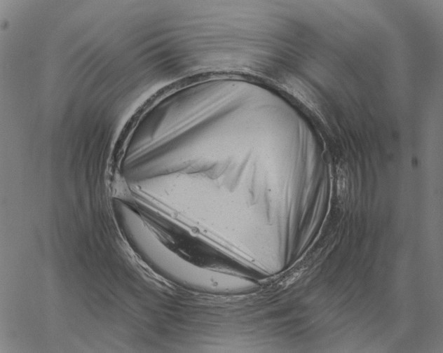 X0000061121068200512161433