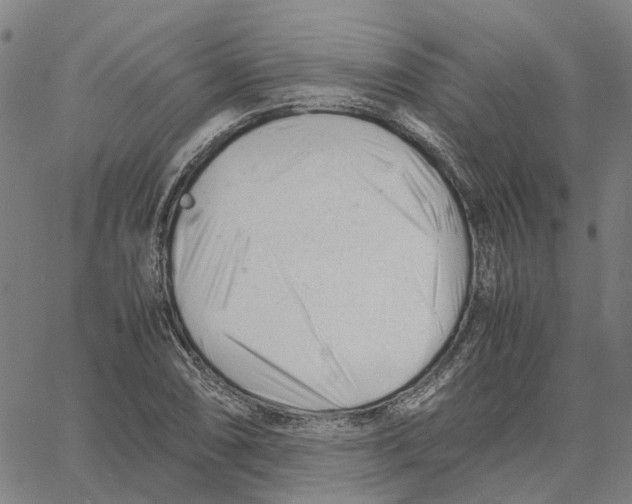 X0000061121074200512161433