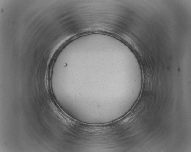 X0000061121076200512161433