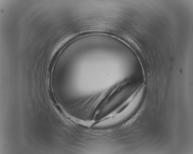 X0000061121077200512161433