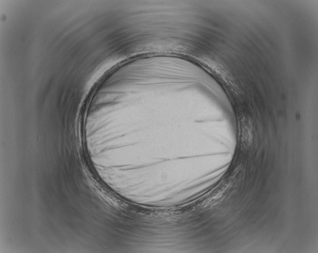 X0000061121078200512161433