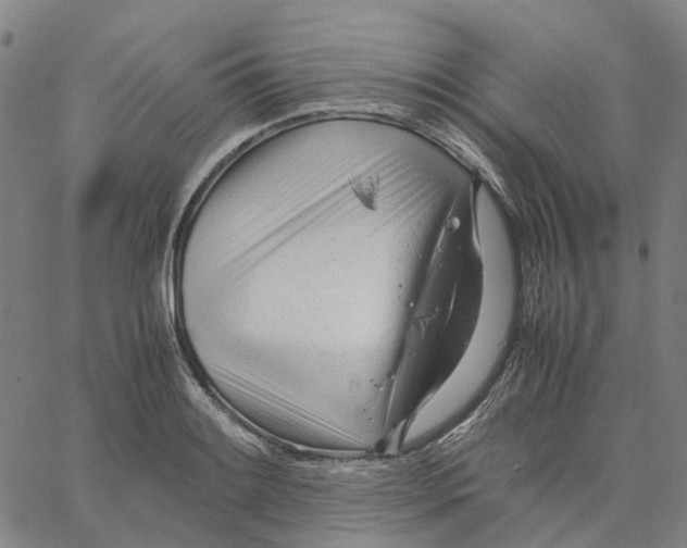 X0000061121084200512161433