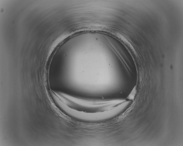 X0000061121085200512161433