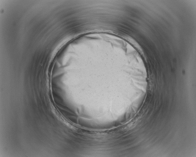 X0000061121096200512161433