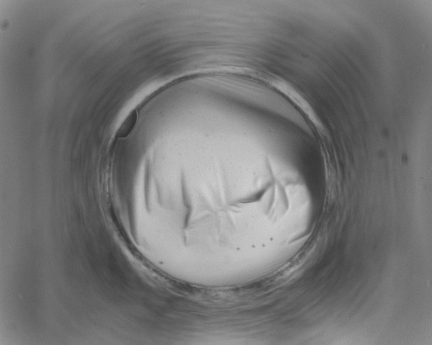X0000061121101200512161433
