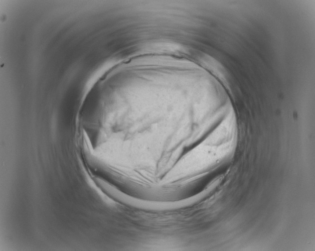 X0000061121103200512161433