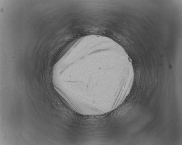X0000061121105200512161432