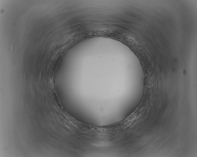 X0000061121109200512161432
