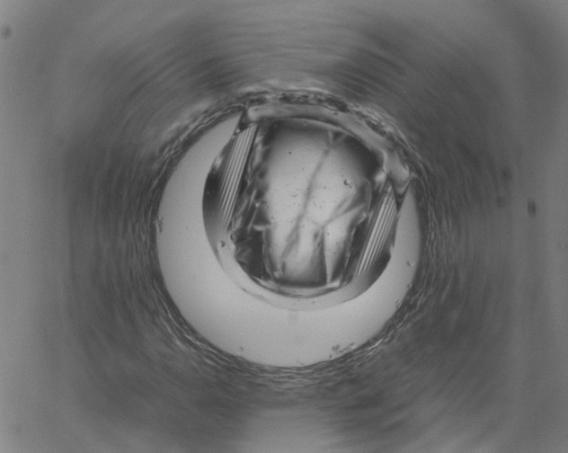 X0000061121110200512161432