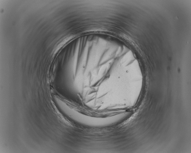 X0000061121129200512161432
