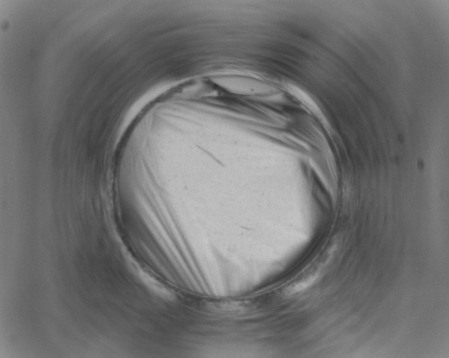 X0000061121149200512161433