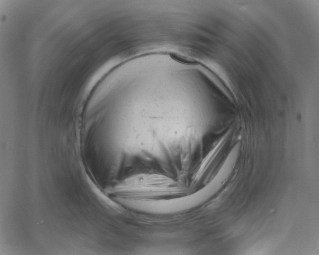X0000061121151200512161433