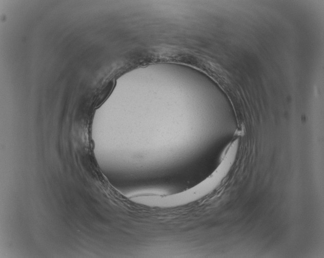 X0000061121155200512161432