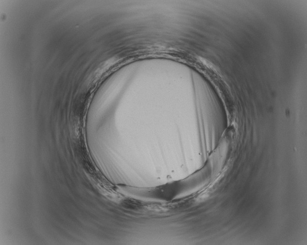X0000061121161200512161432