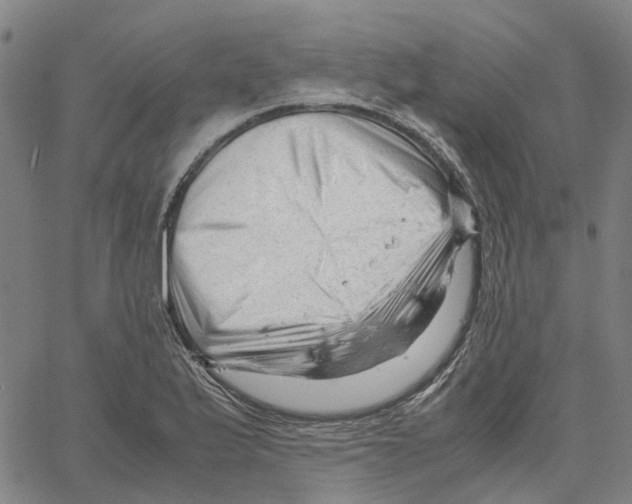 X0000061121175200512161431
