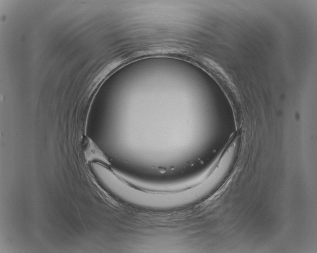 X0000061121177200512161431