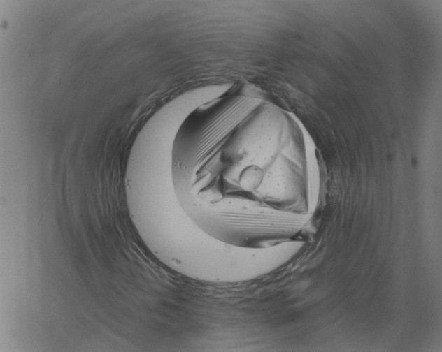 X0000061121202200512161430