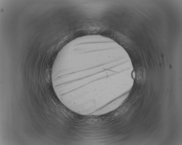 X0000061121204200512161430