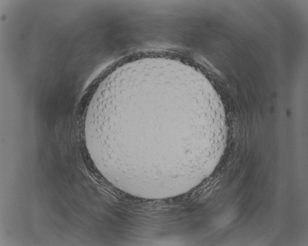 X0000061121208200512161430
