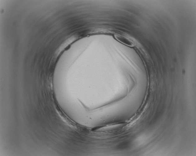 X0000061121241200512161431
