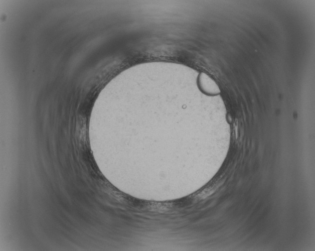 X0000061121251200512161430