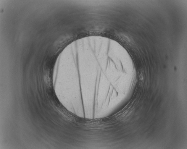 X0000061121252200512161430