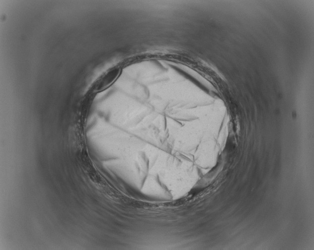X0000061121256200512161430