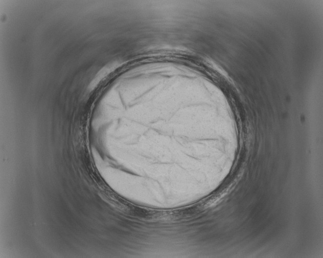 X0000061121259200512161430