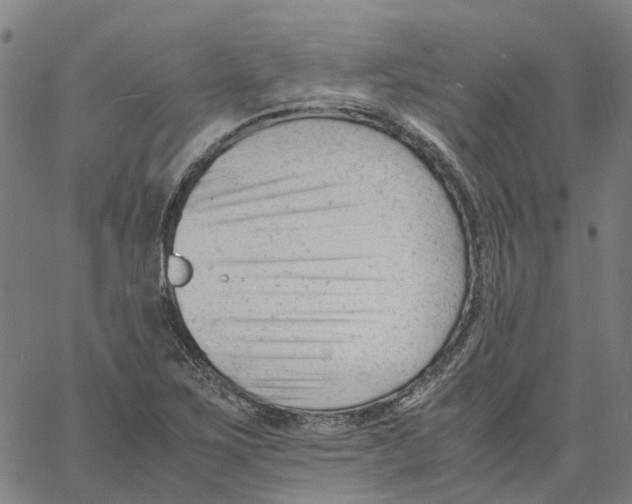 X0000061121267200512161430