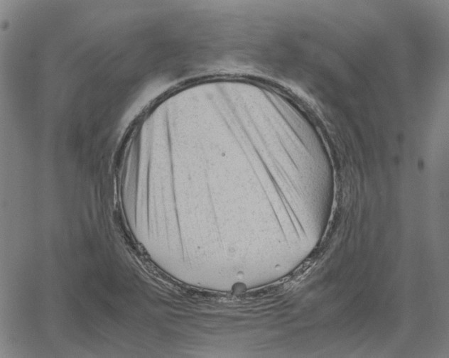 X0000061121271200512161430